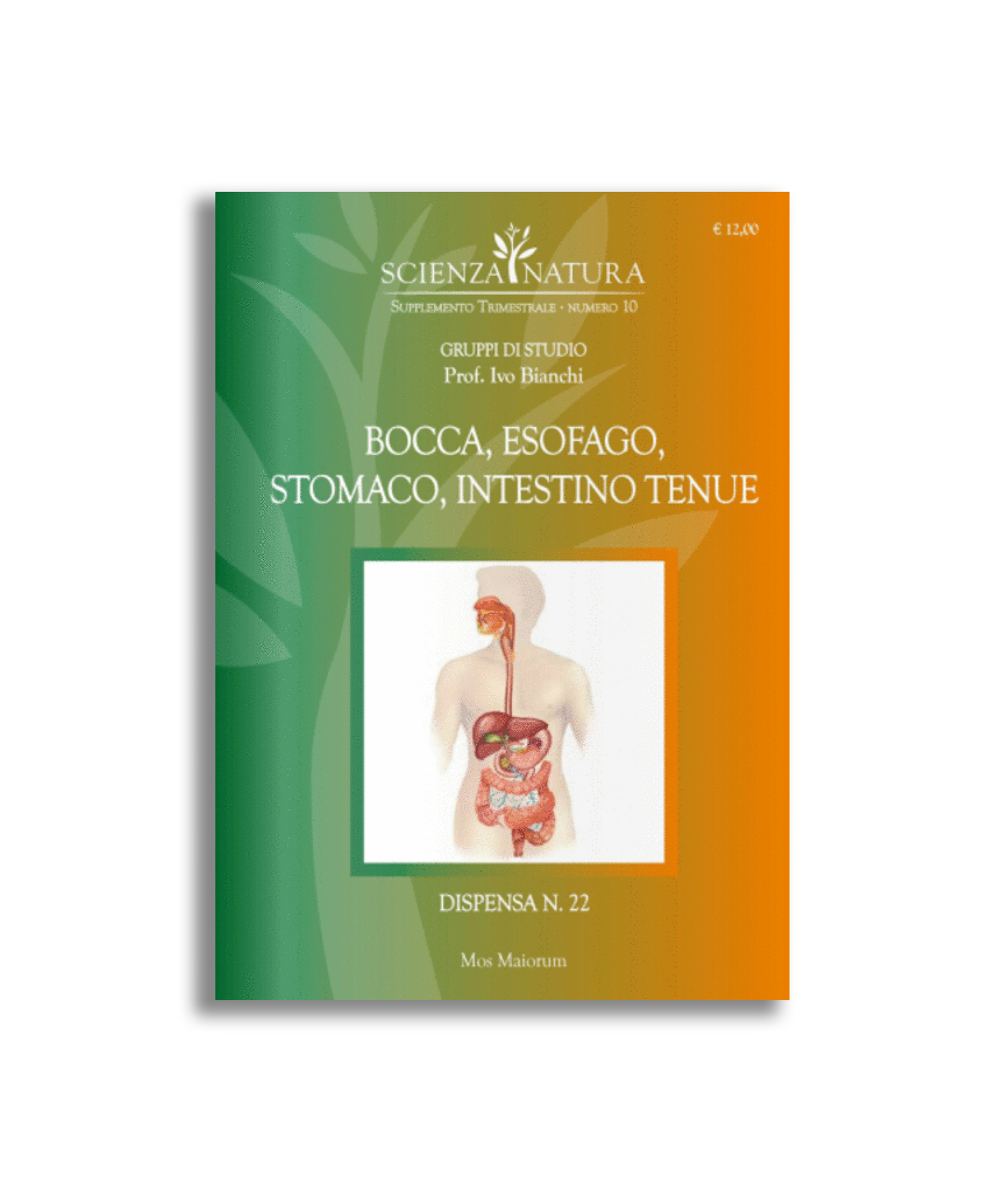 Bocca, Esofago, Stomaco, Intestino Tenue