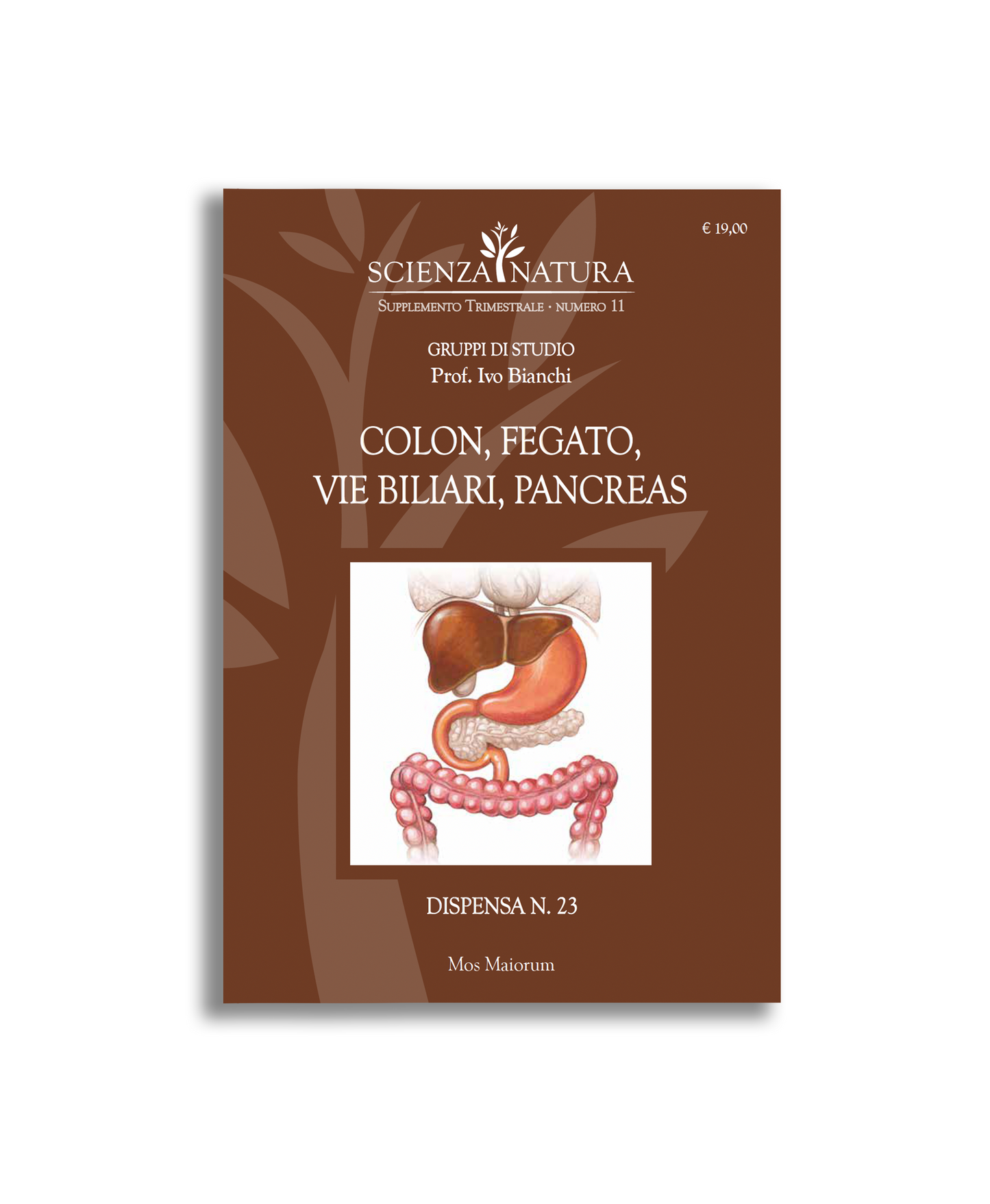 Colon, Fegato, Vie Biliari, Pancreas