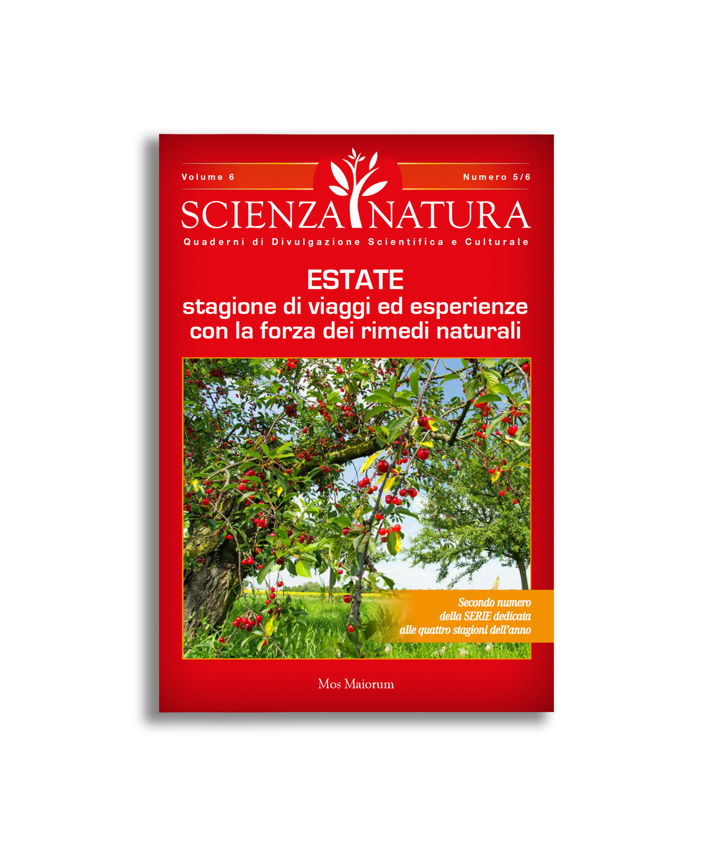 Estate, Stagione di Viaggi ed Esperienze con la Forza dei Rimedi Naturali