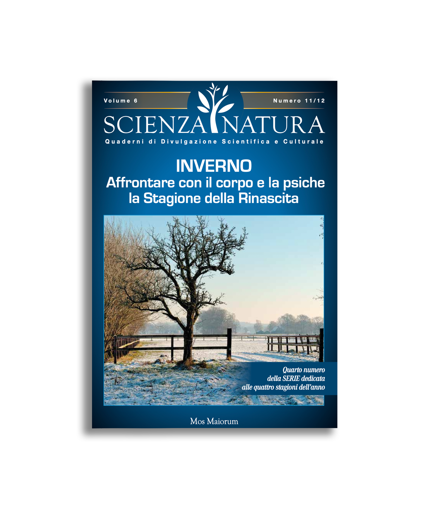 Inverno, Affrontare con il Corpo e la Psiche la Stagione della Rinascita